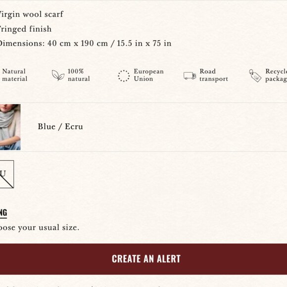 Sezane Seraphine Scarf - Blue Ecru NWT - Picture 4 of 7
